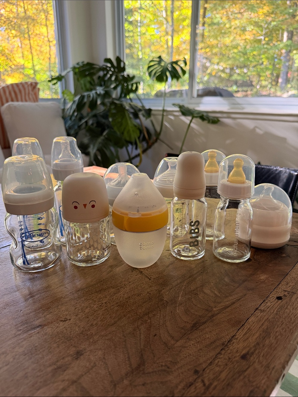Assorted baby bottle collection - Comotomo, Bibs, natursutten, NUK and more